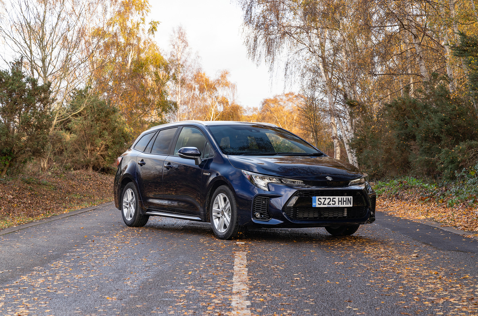 Suzuki swace static